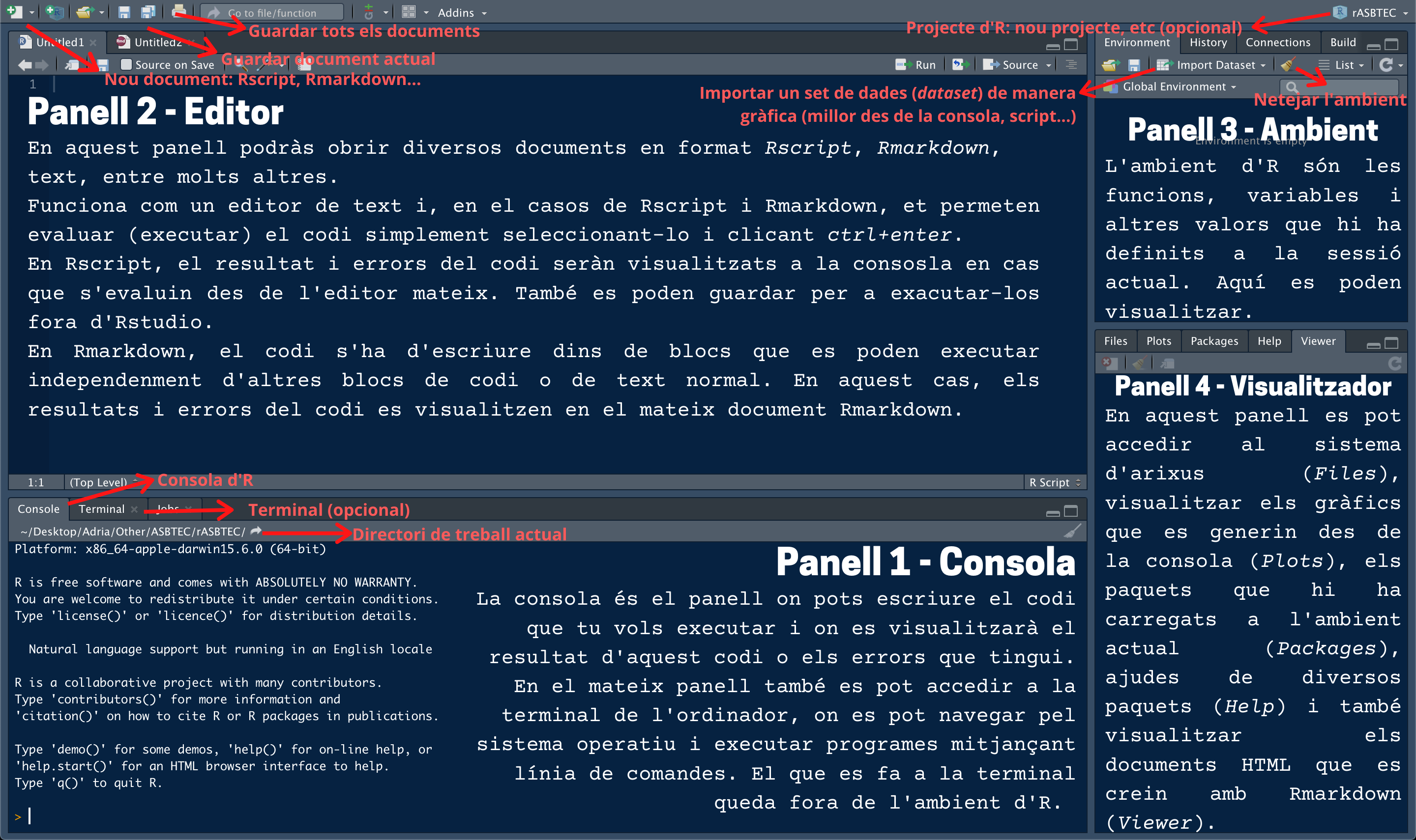 Interfície gràfica d'RStudio amb una explicació dels quatre panells que té i d'algunes de les opcions que permet.